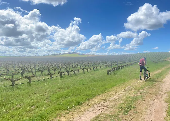 Turisticos Wambalore Apartment Pampliega